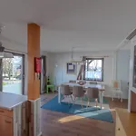 Apartment Kellerwald