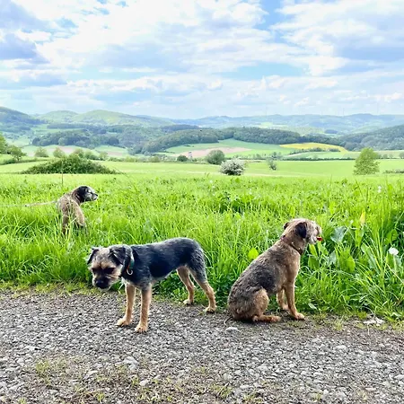 Apartment Kellerwald Frankenau