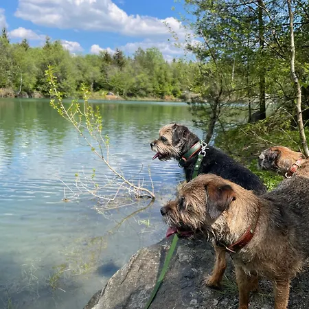 Kellerwald Appartamento