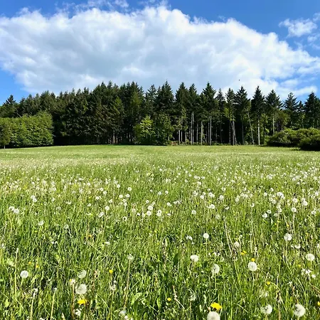 Appartamento Kellerwald