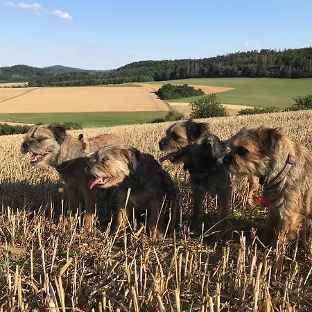 Kellerwald Appartamento