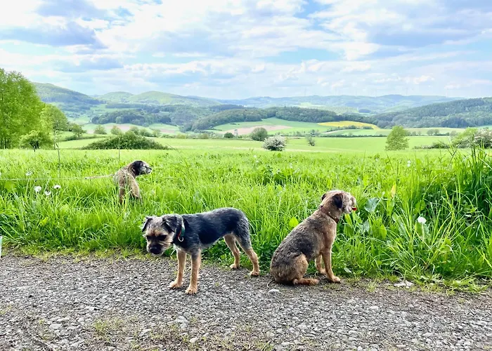 Apartment Kellerwald Frankenau