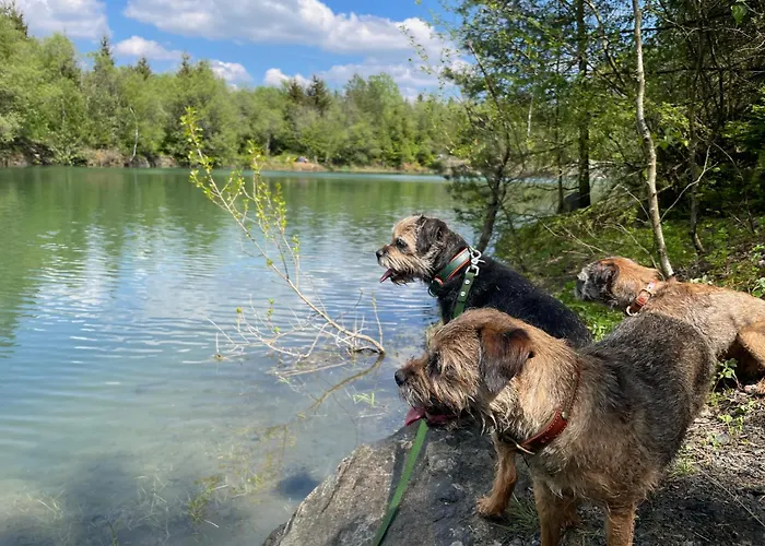 Kellerwald Apartment